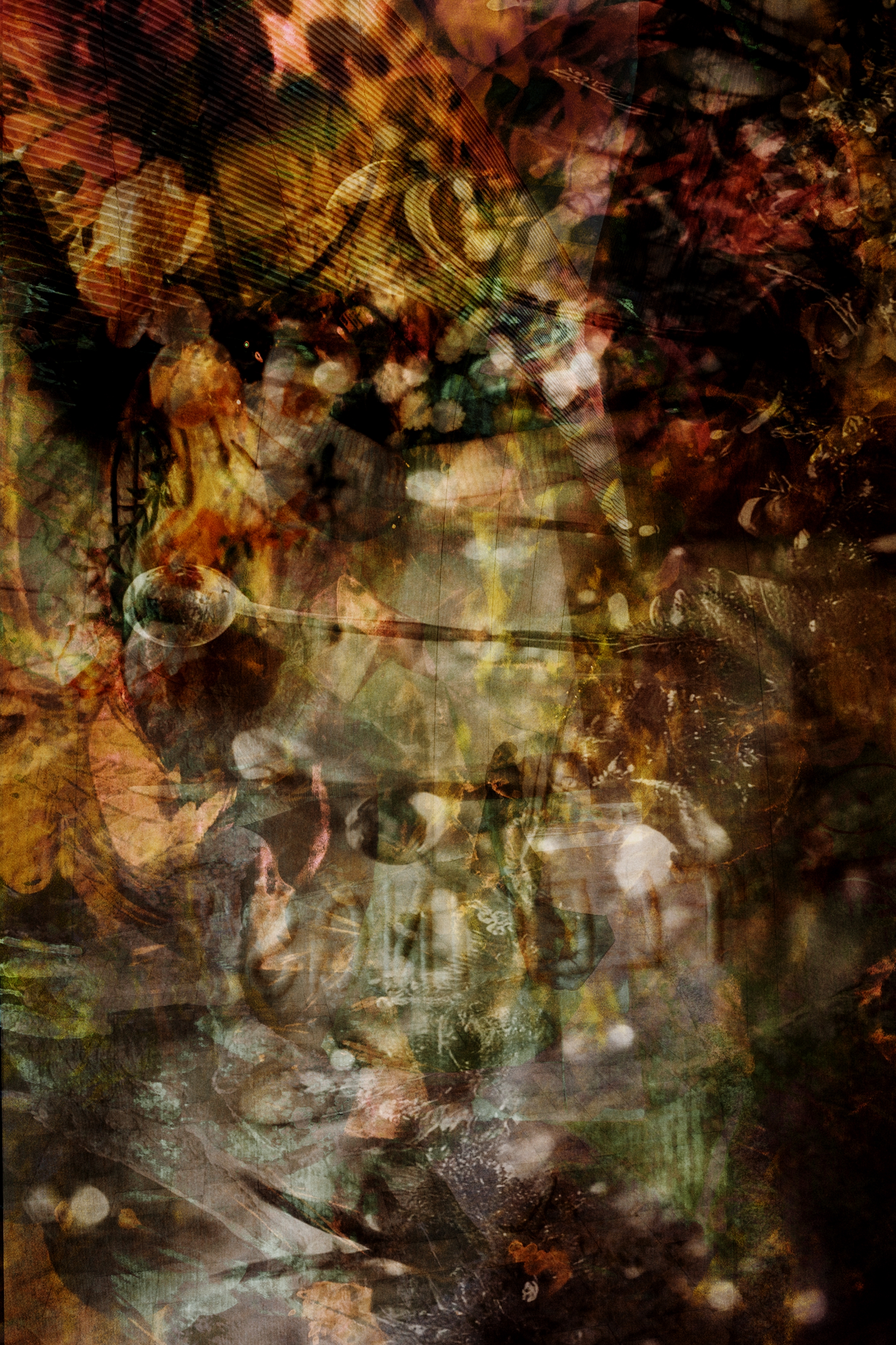 2000x3000