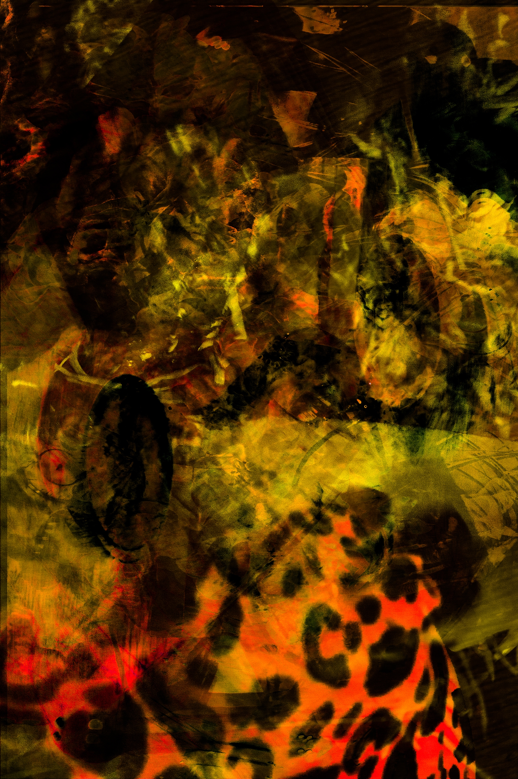 1816x2728