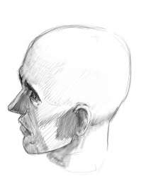 600x758