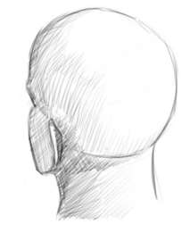 600x758