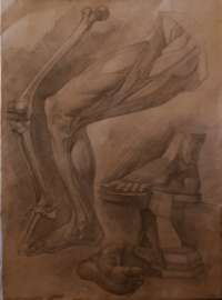 1968x2648
