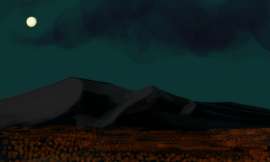 1000x600