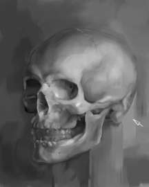 600x750