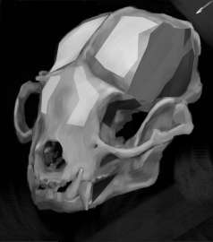 800x904