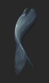 307x520
