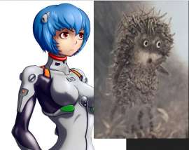593x471