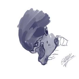 2560x2560