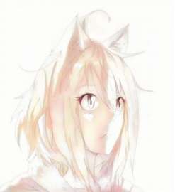 466x509