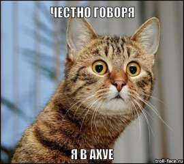 500x446