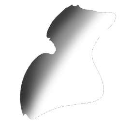 815x828