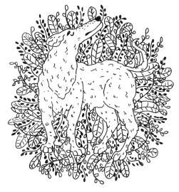 961x1033