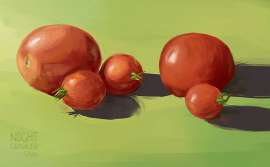 800x496