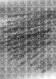 2150x3035