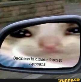 480x481