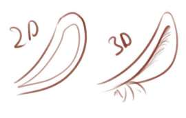 463x294
