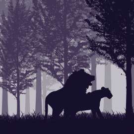 1920x1920