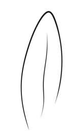 311x534