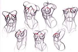800x542