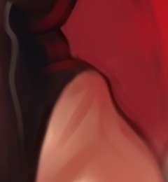 240x260