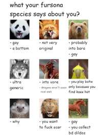 500x700