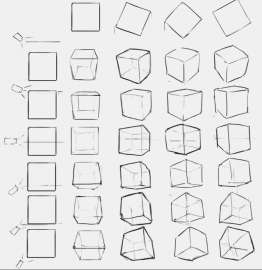 780x803