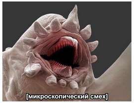 540x416