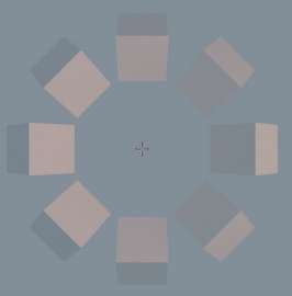 807x817