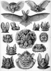 800x1113