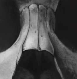 883x900