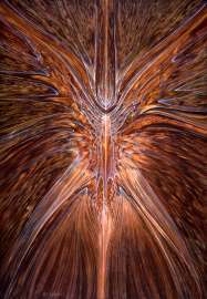 800x1153