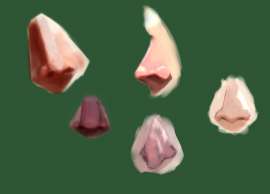 1000x719