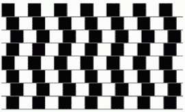 450x274