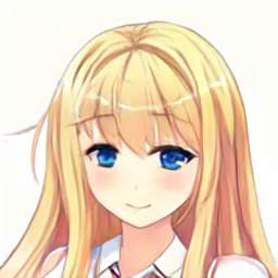 256x256