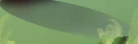 356x116
