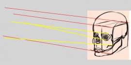 879x442