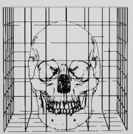 561x566