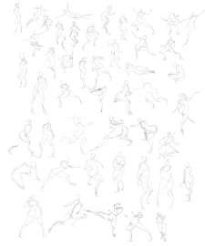 5000x6000