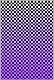 552x814