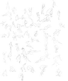 5000x6000