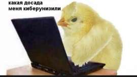 869x490