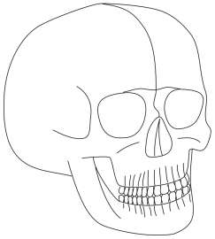 666x740