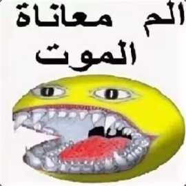 368x368