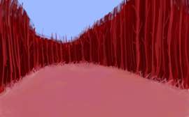 800x500