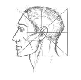 1259x1254