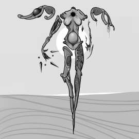 1080x1080