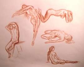 1566x1258