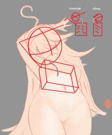 516x620