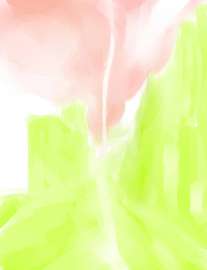 2000x2600