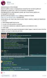 530x869