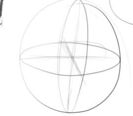 271x237
